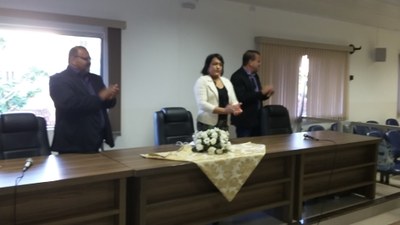 Audiência Pública - (Imagem 04)