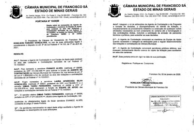 Pregoeiro e Membros da Equipe de Apoio (PMEA)